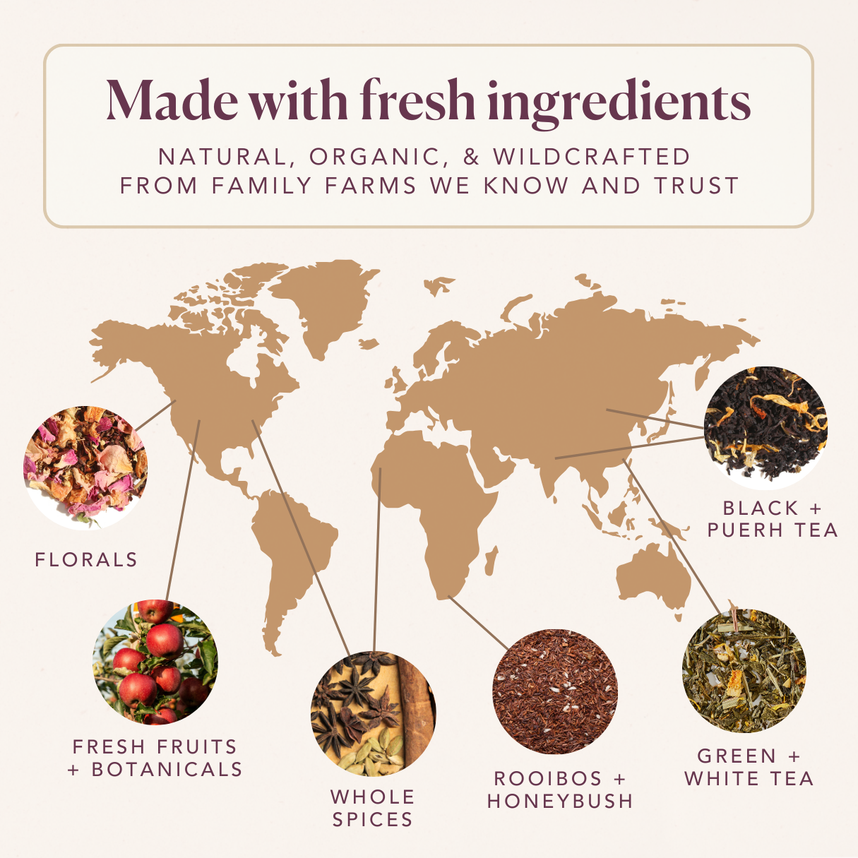 Plum Deluxe Slowly Unwind Herbal Linden Tea (Linden Flower - Elderflower - Berry)