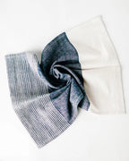 S/2 Chesapeake Cotton Tea Towel