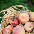 Piper and Leaf Orchard Peach 9ct Tea Bags in Muslin
