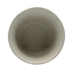 Inoue Tea Shiro White Tesshin Mino-yaki Yunomi - Japanese Teacup