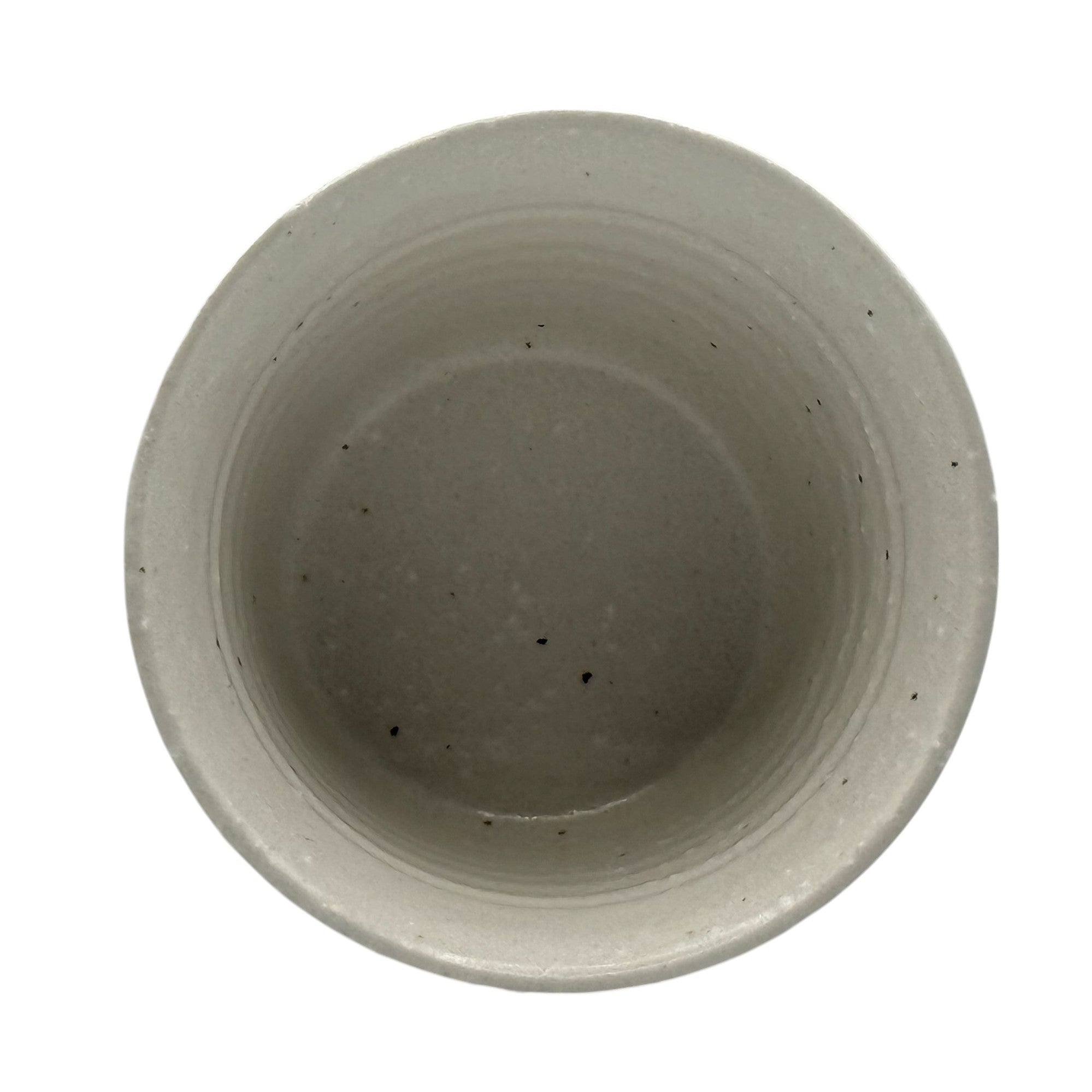 Inoue Tea Shiro White Tesshin Mino-yaki Yunomi - Japanese Teacup