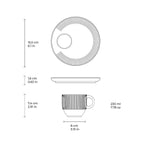 Tea Cup Set of 6