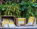 Piper and Leaf Lemon Berry Blush Case of Individually Wrapped Tea Bags- 50ct