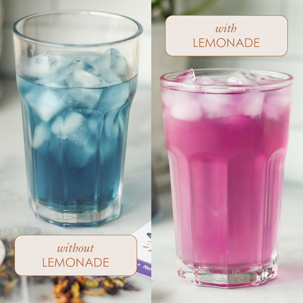 Plum Deluxe Magical Butterfly Herbal Tea (Butterfly Pea Flower / Berries)