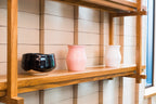 Inoue Tea Isshiki Black Mino-yaki Chawan - Japanese Matcha Bowl